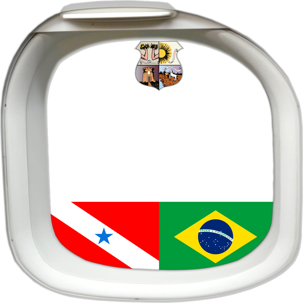 miniatura del curso